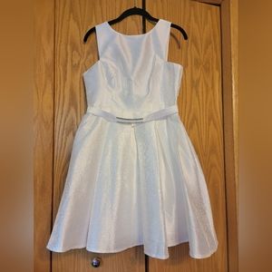 Fashion Nova Fit & Flare Satin Dress